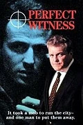 Perfektní svědek (Perfect Witness)