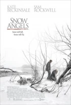 Sněžní andělé (Snow Angels)