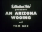 An Arizona Wooing