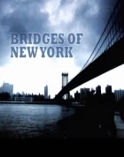 Newyorské mosty (Bridges of New York City)