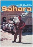 Sahara