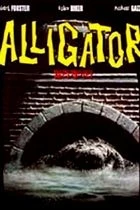 Aligátor (Alligator)