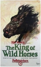 The King of Wild Horses