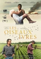 Les oiseaux ivres