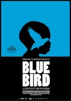 Modrý pták (Blue Bird)