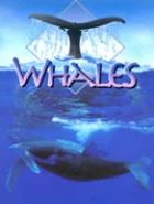 Velryby: Nezapomenutelná cesta (Whales: An Unforgettable Journey)
