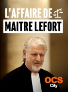 Advokátovy hříchy (L'affaire de Maître Lefort)
