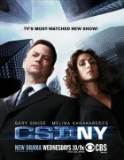 Kriminálka  New  York (CSI: New York)