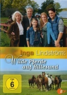 Inga Lindström: Divocí koně (Inga Lindström - Wilde Pferde auf Hillesund)