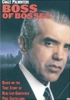 Nejvyšší boss (Boss of Bosses)