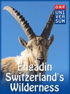 Engadin - Wildnis der Schweiz