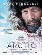 Arctic: Ledové peklo (Arctic)