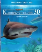 Tajemství karibských hlubin (Adventure Carribean 3D)