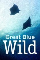 Modravé hlubiny (Great Blue Wild)