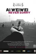 Ai Wei Wei: Ničeho nelituji (Ai Weiwei: Never Sorry)