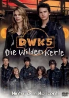 Die wilden Kerle 5