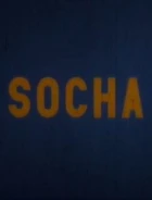 Socha