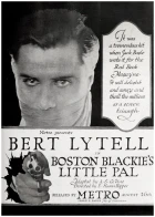 Boston Blackie's Little Pal