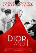 Dior a já (Dior and I)