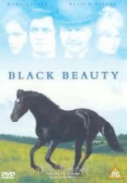 Černý Blesk (Black Beauty)