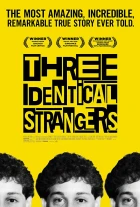 Tři blízcí neznámí (Three Identical Strangers)