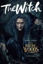 Čarovný les (Into the Woods)