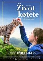 Život kotěte (Mon chat et moi, la grande aventure de Rroû)