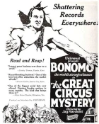 The Great Circus Mystery