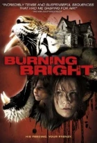 Bengálský tygr (Burning Bright)