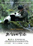 Dobrodružství s pandou (Xiong mao hui jia lu)