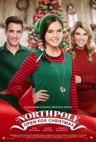 Severní pól: Na Vánoce otvíráme (Northpole: Open for Christmas)