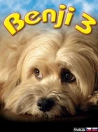 Benji 3 (Benji: Off the Leash!)