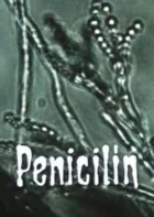 Penicilín