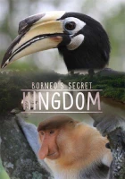 Skryté království Bornea (Borneo's Secret Kingdom)