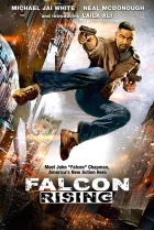 Návrat Falcona (Falcon Rising)