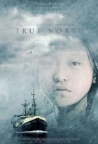 Krutý sever (True North)