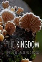 Království - Jak houby stvořily náš svět (The Kingdom - How Fungi Made Our World)