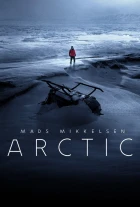Arctic: Ledové peklo (Arctic)