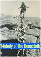 Milady o' the Beanstalk