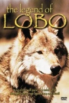 Lobo (The Legend of Lobo)