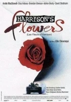 Harrisonovy květy (Harrison's Flowers / Les fleurs d'Harrison)