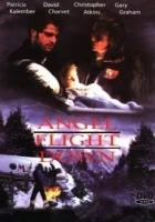 Anděl strážný v nebezpečí (Angel Flight Down)