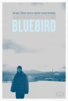 Ptáče (Bluebird)