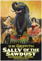 Sally of the Sawdust