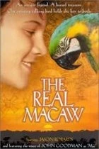 Papoušek a poklad (The Real Macaw)