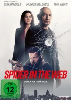 Pavouk v síti (Spider in the Web)