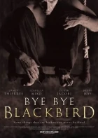 Sbohem, černý ptáku!