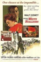 TV program: Zázračná záchrana bílých hřebců (Miracle of the White Stallions)