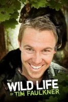 TV program: Divoký život Tima Faulknera (The Wild Life of Tim Faulkner)