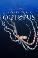 Tajemství chobotnic (Secrets of the Octopus)
